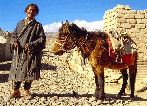 A nomad from Changtang with his horse.
